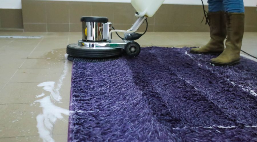 Deep steam carpet cleaning removing dirt and stains from flooring